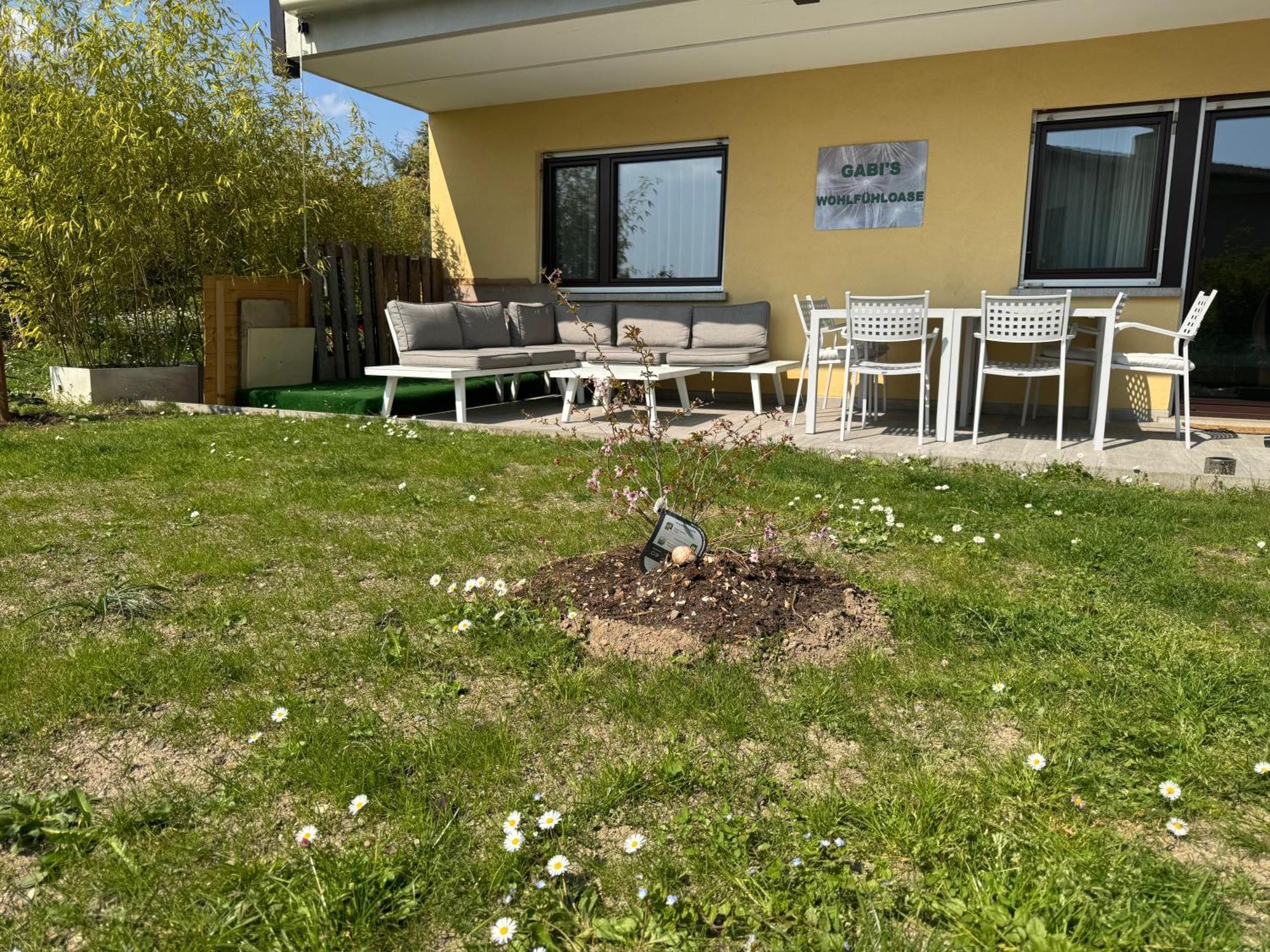 Gabi'S Wolfuehloase Apartment Balerna Exterior photo